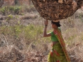 Rural Maharashtra
