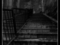 Elevation ii