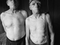 The Brothers by Elin Hoyland