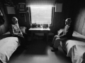 The Brothers by Elin Hoyland