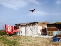 The Roma Project by Panayis Chrysovergis