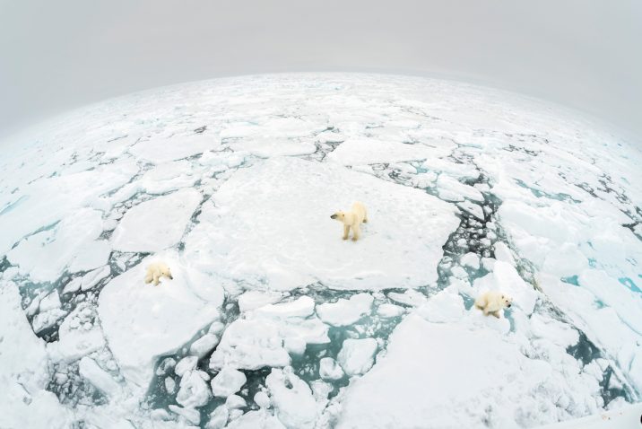 Living Planet 2018